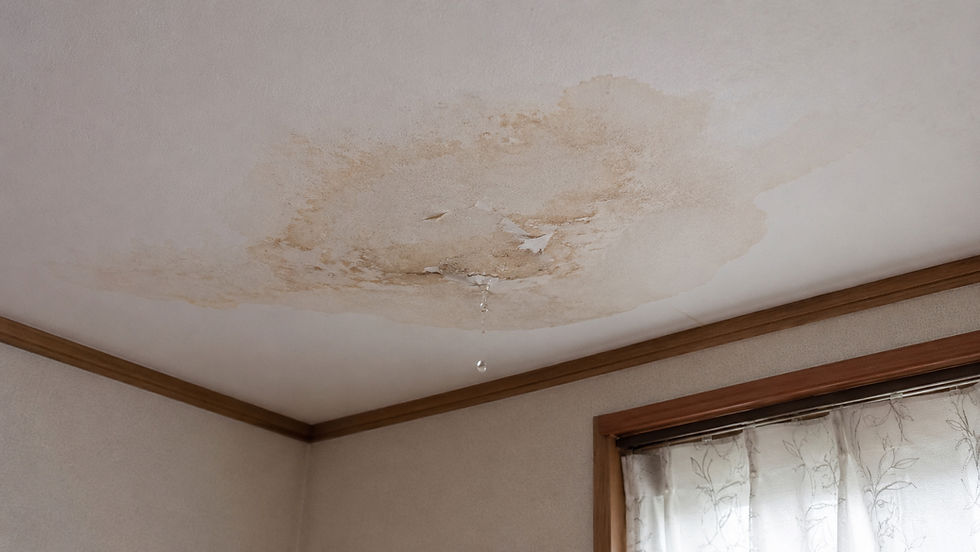 熊本で雨漏りが気になる方へ|屋根だけでなく外壁・シーリング・防水も確認が必要です