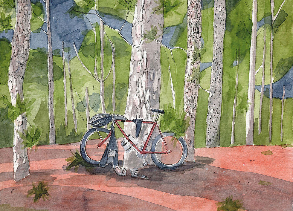 Karte "Bikepacking unter Pinien"