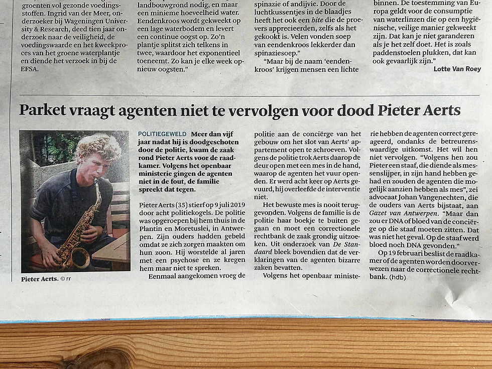 De Standaard, 06.02.2025