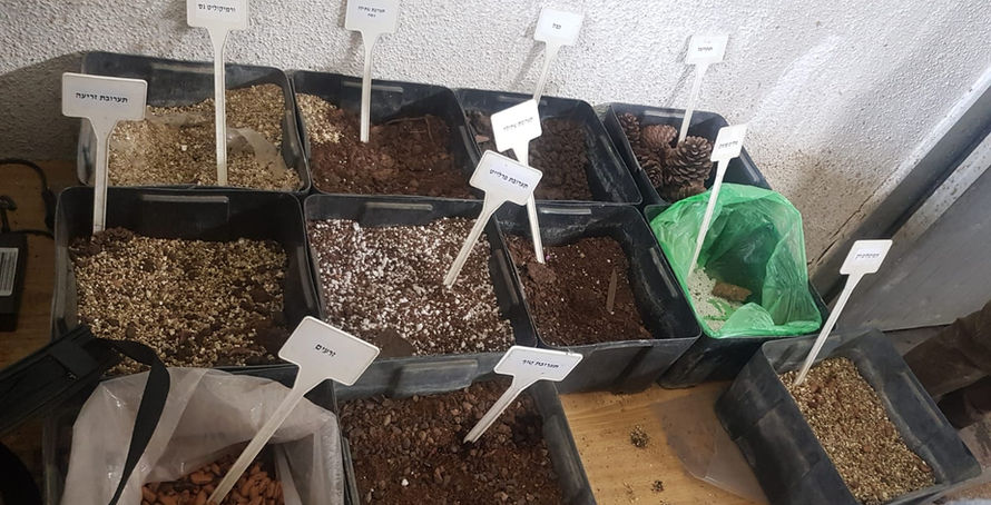 עותק של WhatsApp Image 2023-04-01 at 12.02.26.jpeg