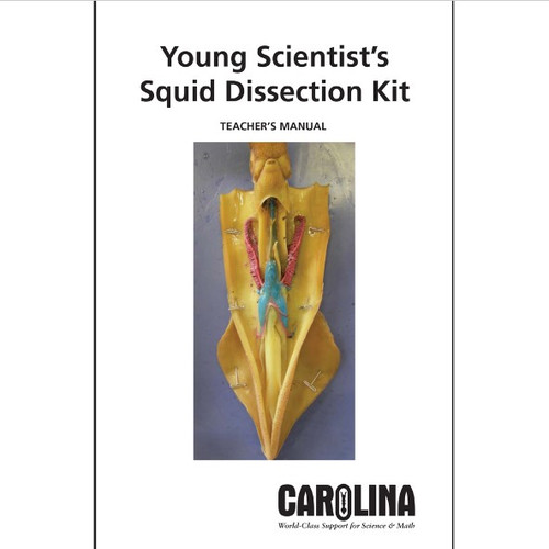 Squid Dissection Digital Resources Carolina Singapore