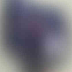 ランドセル リメイク前のダークブラウン色クラリーノランドセル