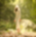 Review: "Chasing Daylight" - Lauren Minear
