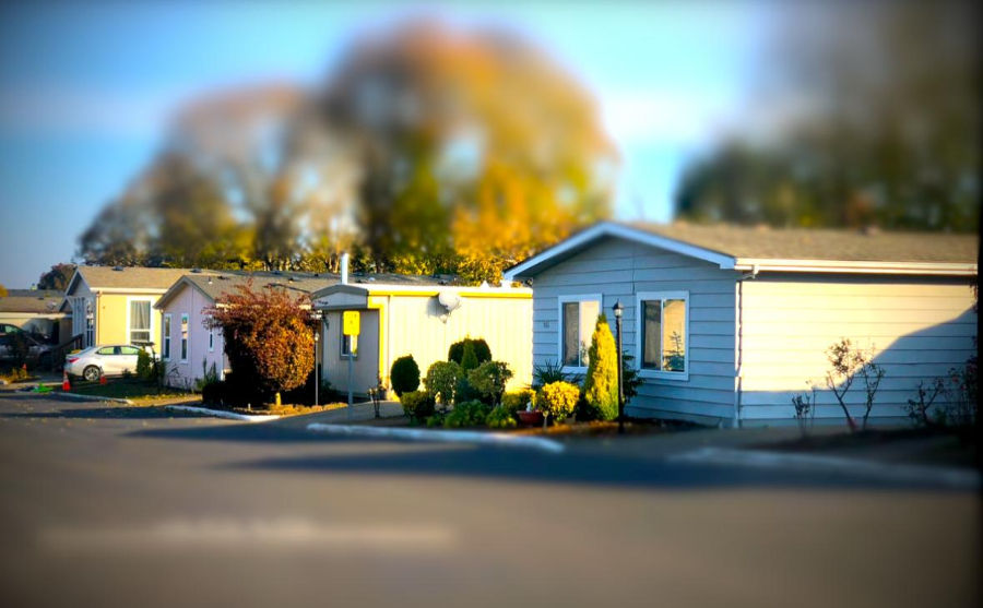 Suburban street with pastel-colored houses and lush gardens under a clear sky. Trees with autumn leaves in the blurred background.
