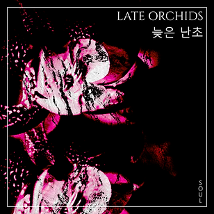 LateOrchids.png