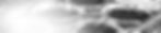subheader_suracsh.jpg
