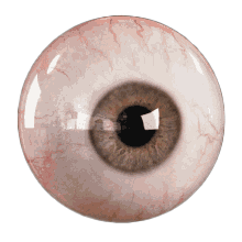 4393d350cd51e62837613e757054b4ca.gif