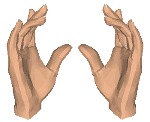 giphy (1).gif
