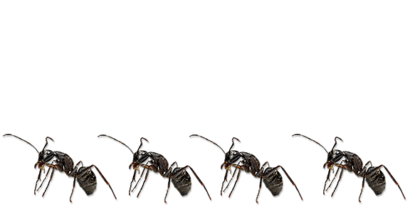 antz-dance.gif