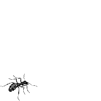 unnamed.gif