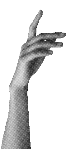 giphy (8).gif