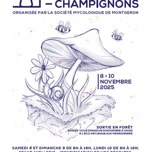 Exposition Nature & Champignons à Tigery ! 