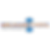 BCSP basic logo (1).png