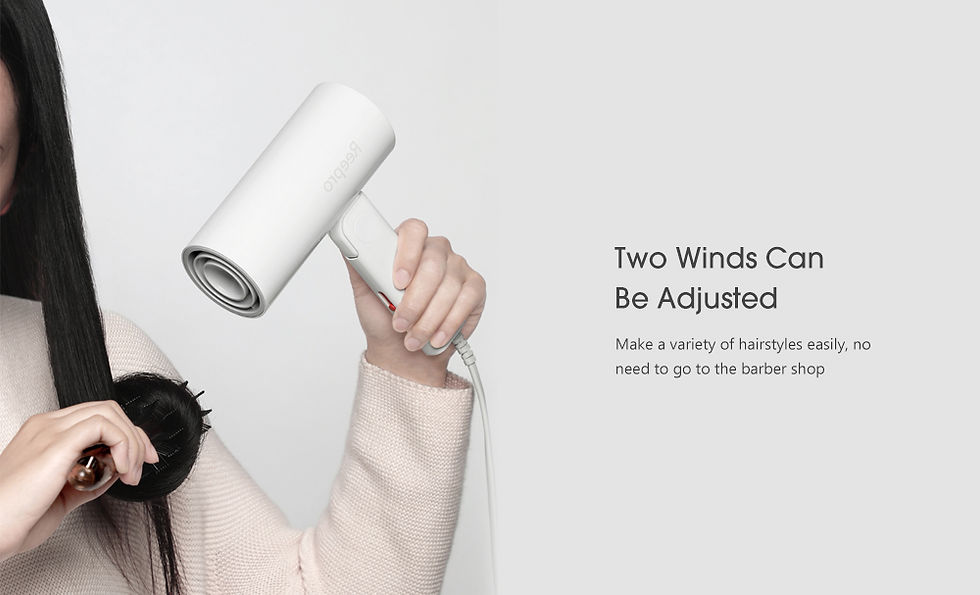 Thumbnail: Reepro RP - HC04 Home High Power Negative Ion Hair Dryer