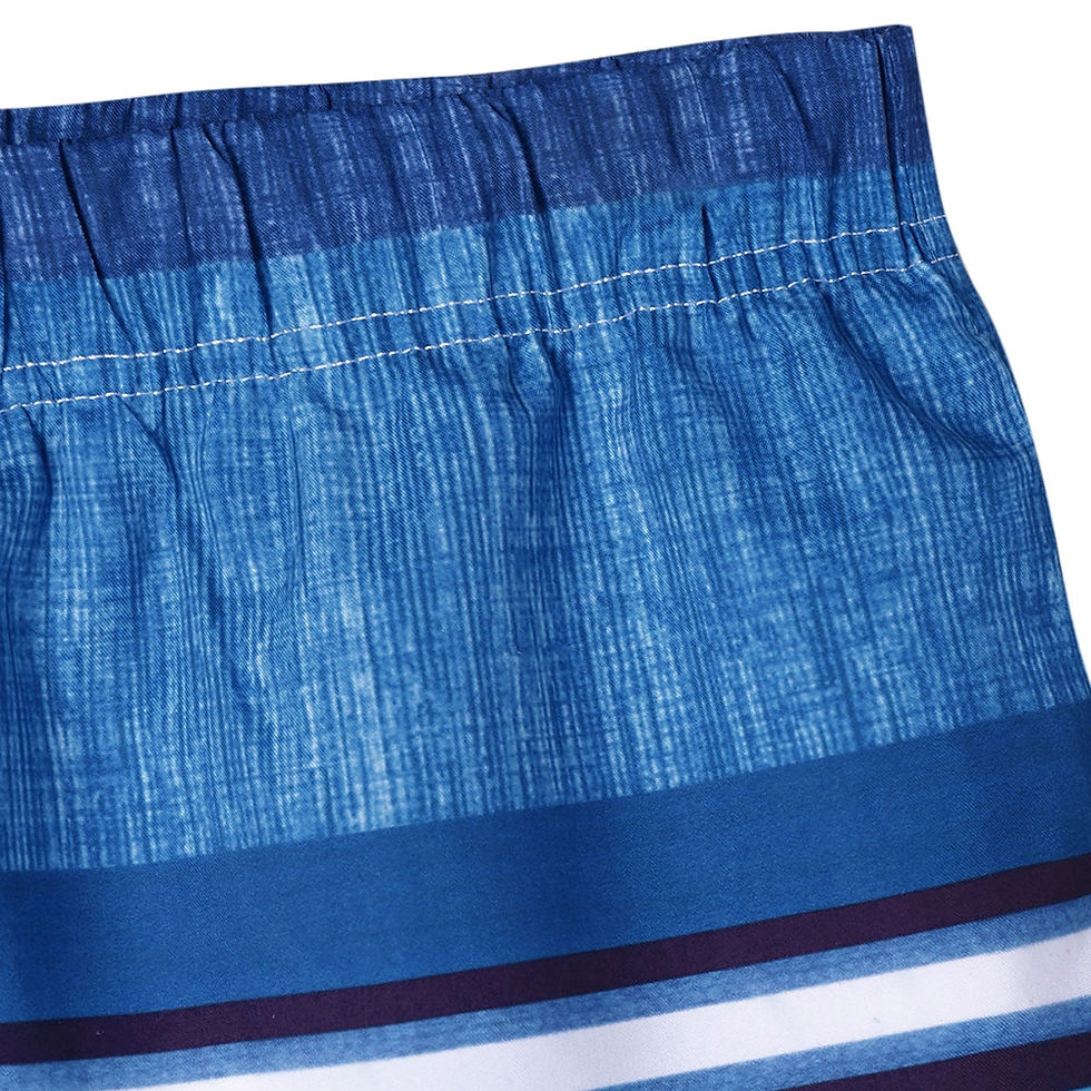 Thumbnail: Multicolor Stripe Beach Bermuda Shorts