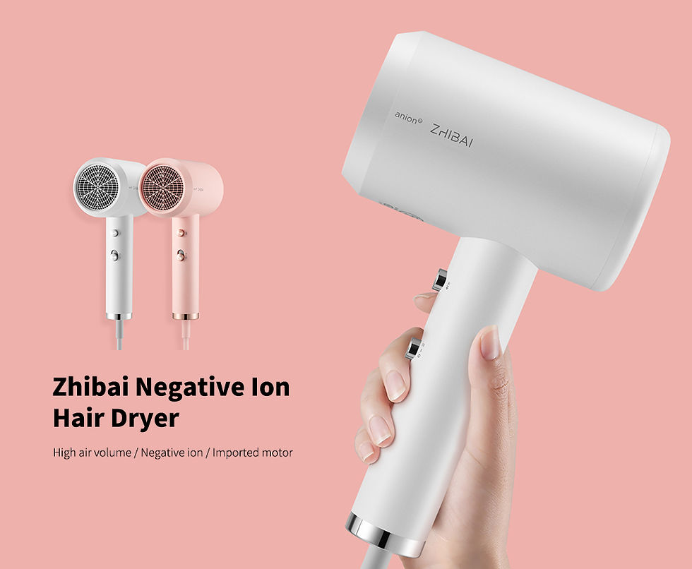 Thumbnail: Zhibai HL311 Household Portable Compact Negative Ion Hair Dryer