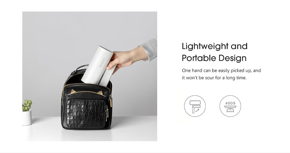 Thumbnail: Reepro RP - HC04 Home High Power Negative Ion Hair Dryer