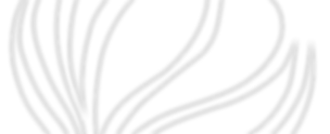 logo_white3.png