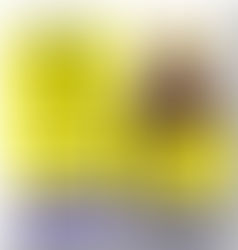 Shampoo bomba: os perigos do uso de Monovin A.