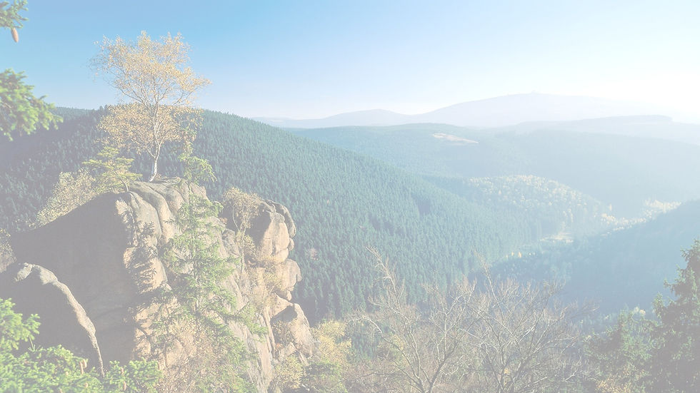 Yoga im Harz mit Pura Vidya