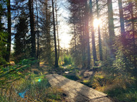 Wandern mit Pura Vidya_2.jpg