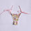 Thumbnail: Braga Bikini €€€