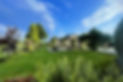 730103_0e18b0a34a33409b9b4ddc9b3e0dfa4a~mv2.jpeg