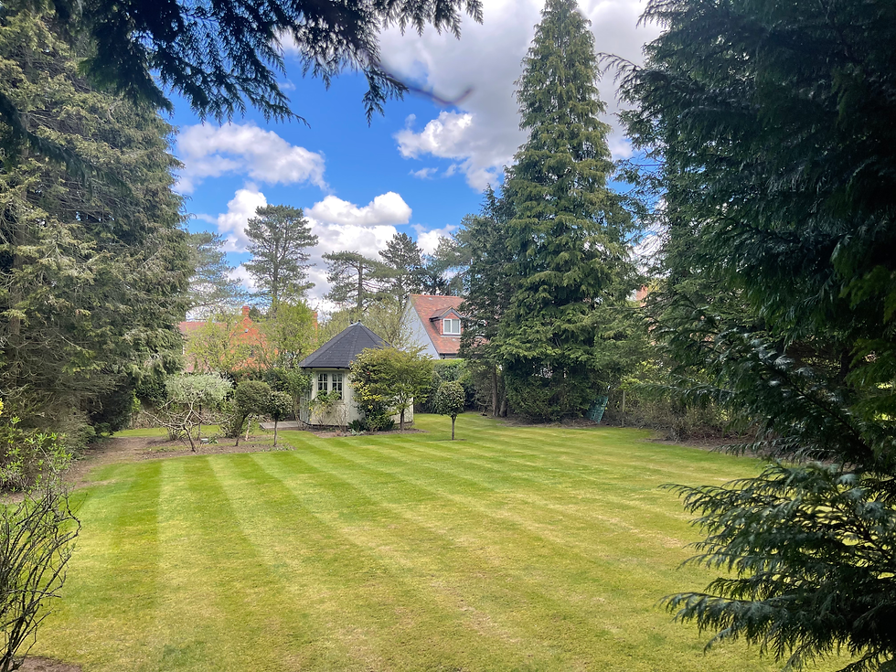 Large green garden with mowing stripes and trees