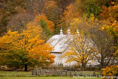Art of Photography.webp