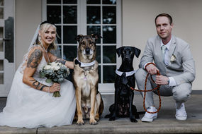 Hochzeitsfoto in Bad Saarow mit Hunden von Hochzeitsfotografin Knipz-Art