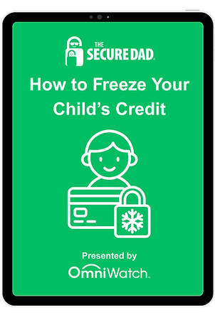 Cover of How to Freeze Your Child's Credit