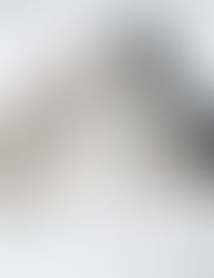 Playing with the Database