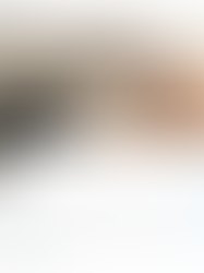 Just a Big Blue Bird Blur