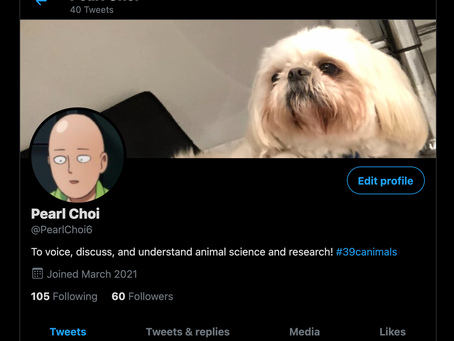 Twitter? I Hardly Know Her!