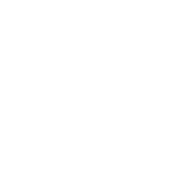 logo_1 transparent white.png