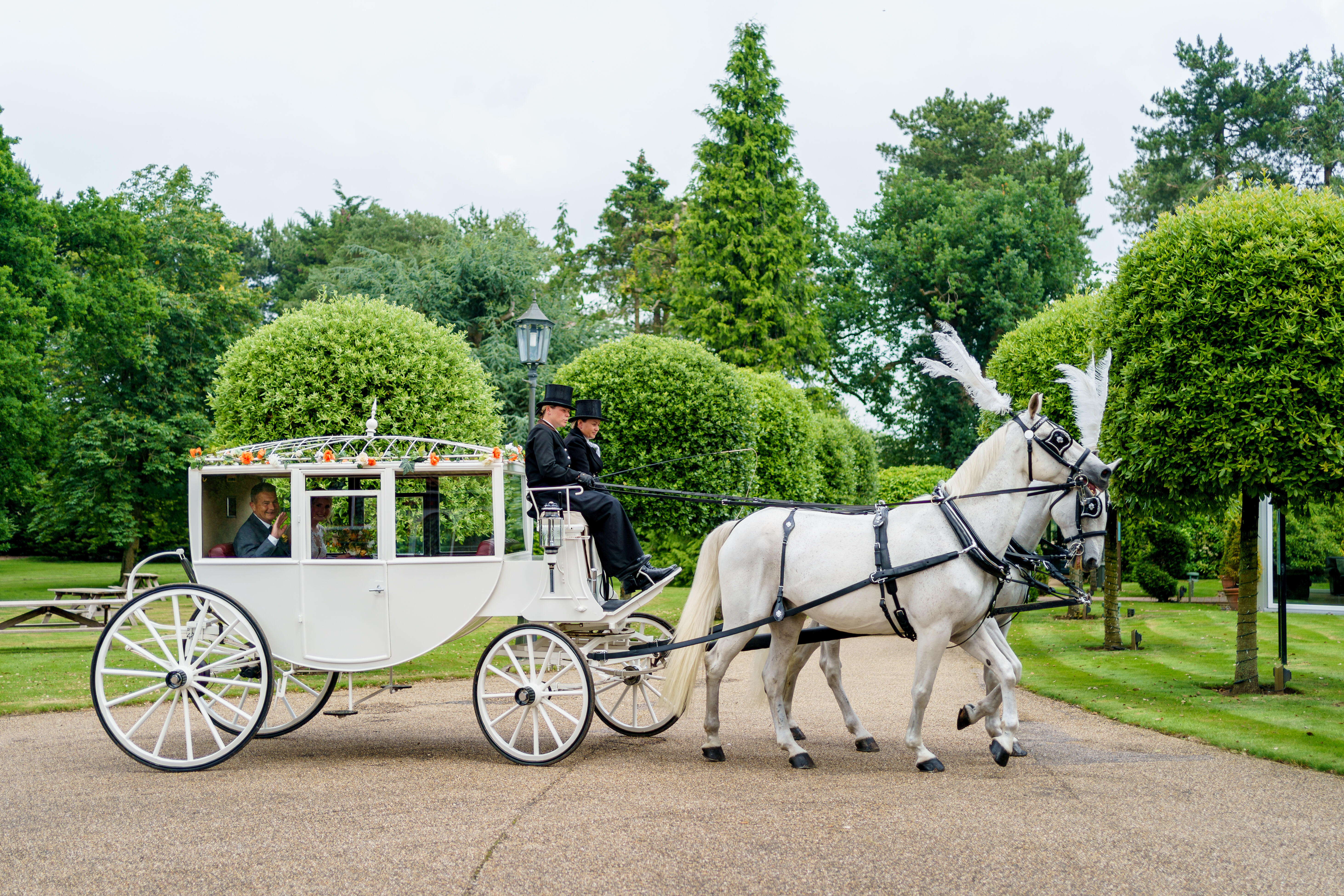 white horse and carriage in front of trees