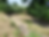 Norbury Park dry river bed July 2022 courtesy https://www.mvgs.org.uk/gallery 