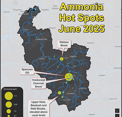 ammonia hot spots june 20-25.jpg