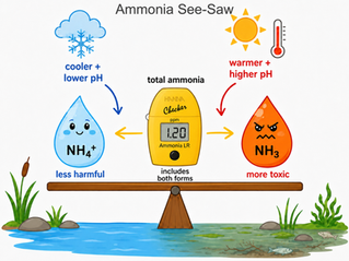 How We Read the Health of the River Mole