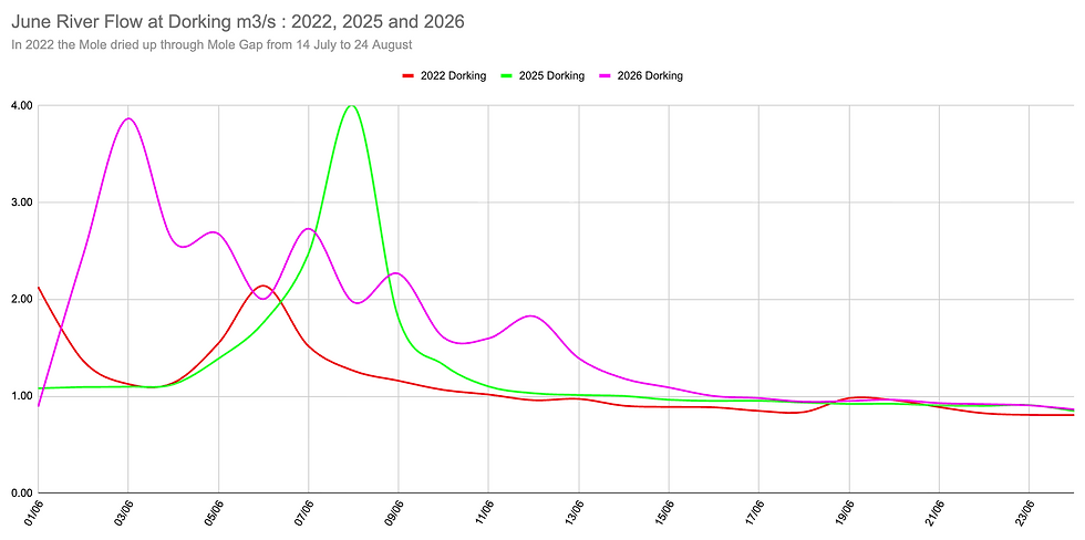 June river flow compared 2022 (Mole Gap vanishing year), 2025 and 2026