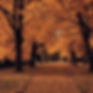 fall.jpg