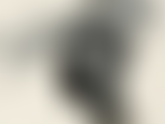 La receta digital para la mente