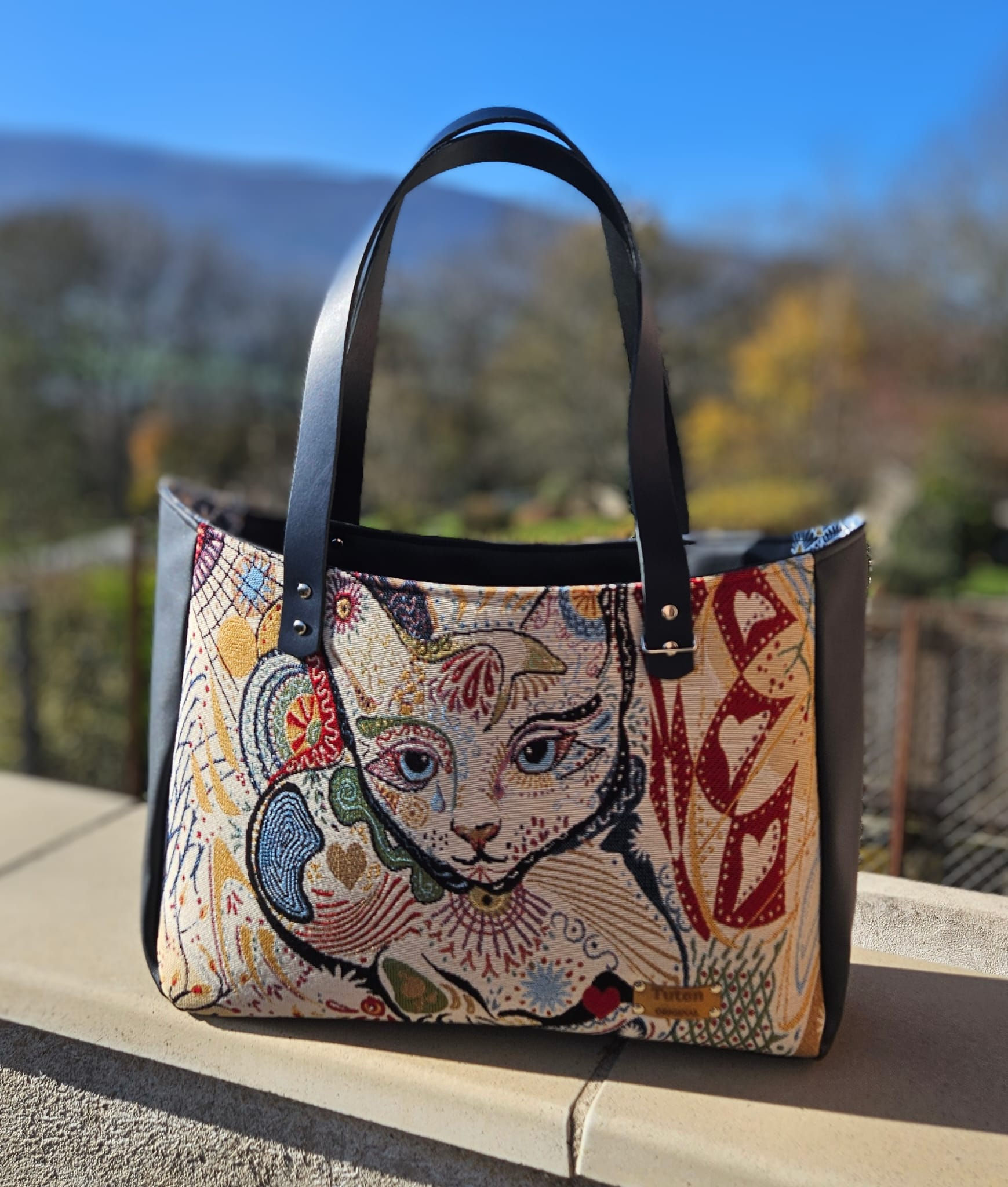 Lylla Chat et étoiles