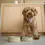 Thumbnail: Dog Food Bowl