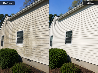 Art-tek pressure wash before after (4).jpg