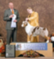 ASCA Ch Ninebark Scratch And Win