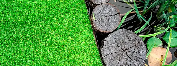 Pasto para jardin economico cdmx