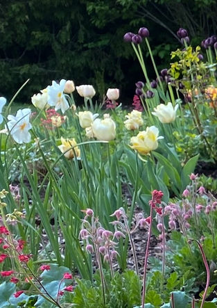 Retreat Landscape - Rosarium