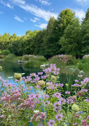 Retreat Landscape - Pond & Stream Plantings