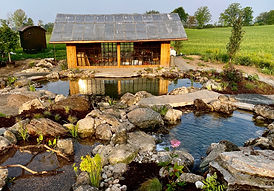 Natural swimming pool with stone bridge